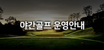야간골프